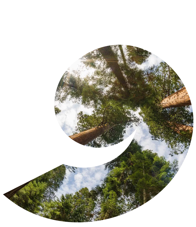 CEI logo with trees.