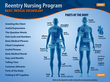 reentry nursing program basic medical vocabulary