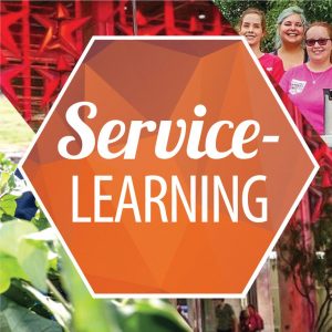 Service-Learning collage